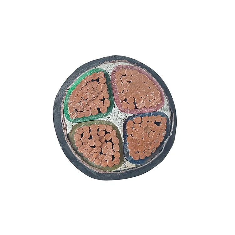 50 amp extension cord 25 ft (2)